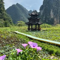 評論圖片 1