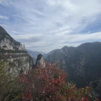 評論圖片 6