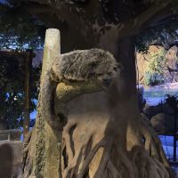 評論圖片 3