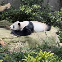 評論圖片 5