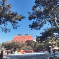 評論圖片 8
