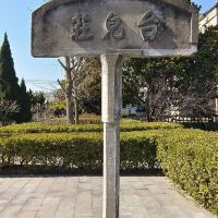 評論圖片 6