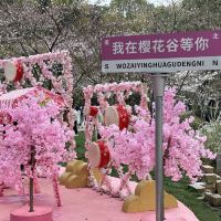 評論圖片 2