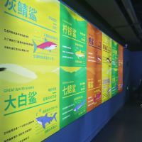 評論圖片 3