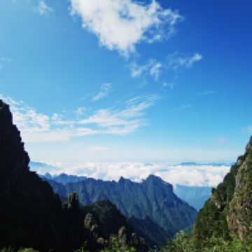 評論圖片 1
