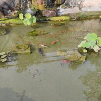 評論圖片 7