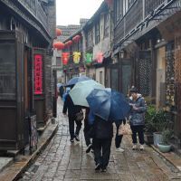 評論圖片 6