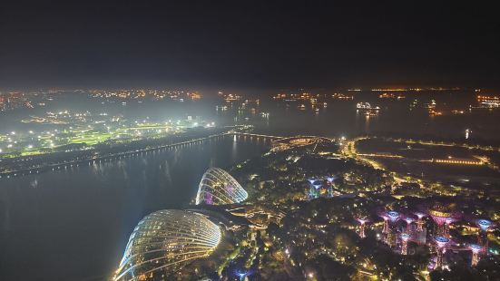 金沙酒店的空中花园是一次真正令人惊叹的体验。从城市的繁华中抽