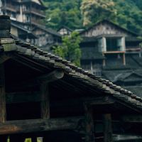 評論圖片 4