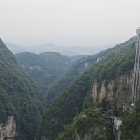 評論圖片 8