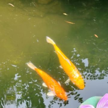 評論圖片 5