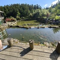 評論圖片 6