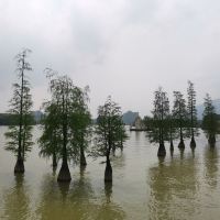 評論圖片 4