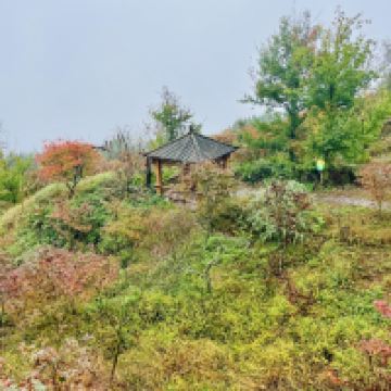 評論圖片 2