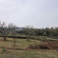 評論圖片 1