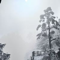 評論圖片 1