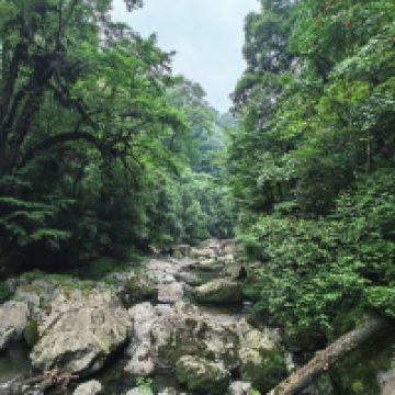 評論圖片 2