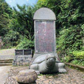 評論圖片 6