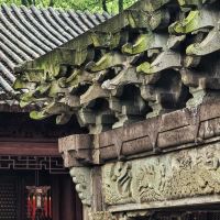 評論圖片 5