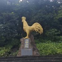 評論圖片 4