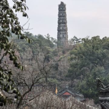 評論圖片 4