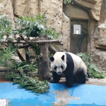 評論圖片 5