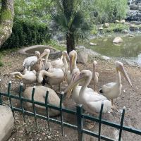 評論圖片 6