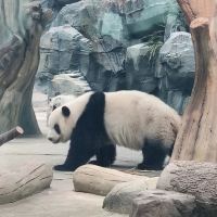 評論圖片 8