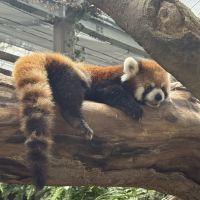 評論圖片 4