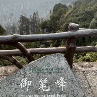 評論圖片 2