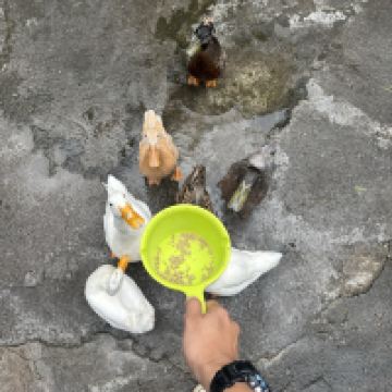 評論圖片 4