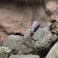 評論圖片 2