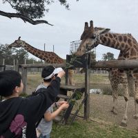 評論圖片 5