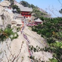 評論圖片 1