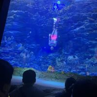 評論圖片 8