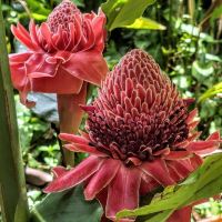 評論圖片 6