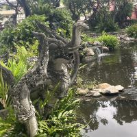 評論圖片 6