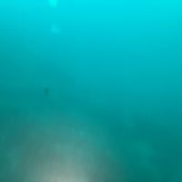 評論圖片 2