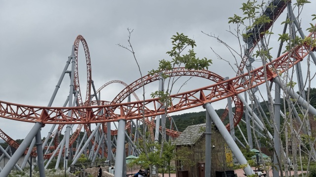 review picture