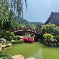 評論圖片 4
