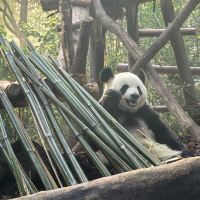 評論圖片 8