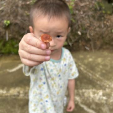 評論圖片 7