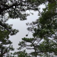 評論圖片 3