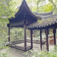 評論圖片 3