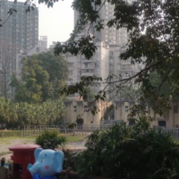 評論圖片 2