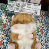 評論圖片 6