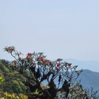 評論圖片 2