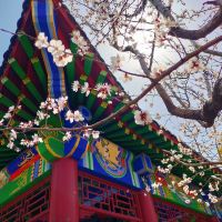 評論圖片 6