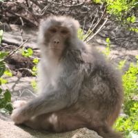 評論圖片 6