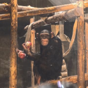 評論圖片 9